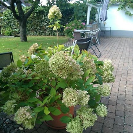 Ferienwohnung Kirschbluete Billigheim-Ingenheim Exterior foto