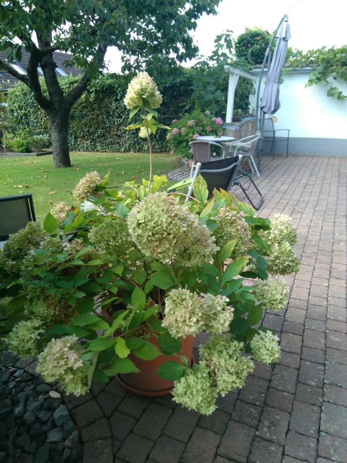 Ferienwohnung Kirschbluete Billigheim-Ingenheim Exterior foto